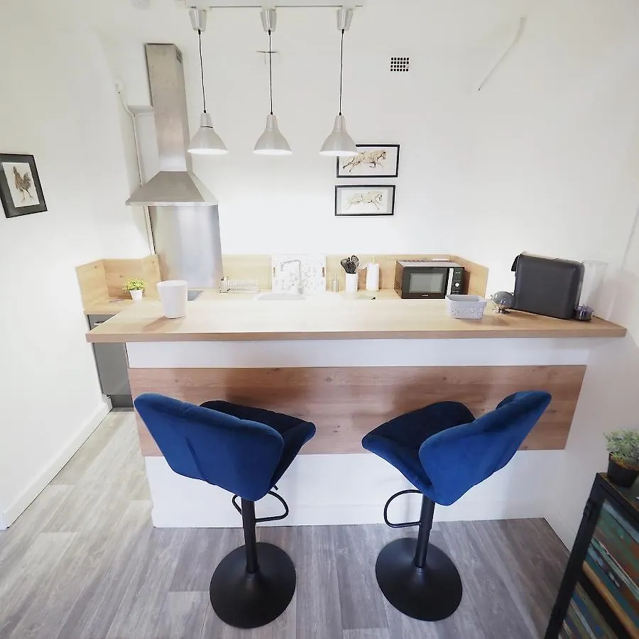 Le Plaisance - Face Au Parc - Duplex - Balcon Apartment Vichy