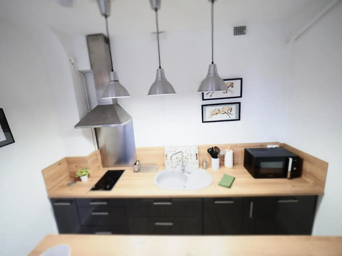 Le Plaisance - Face Au Parc - Duplex - Balcon Apartment Vichy