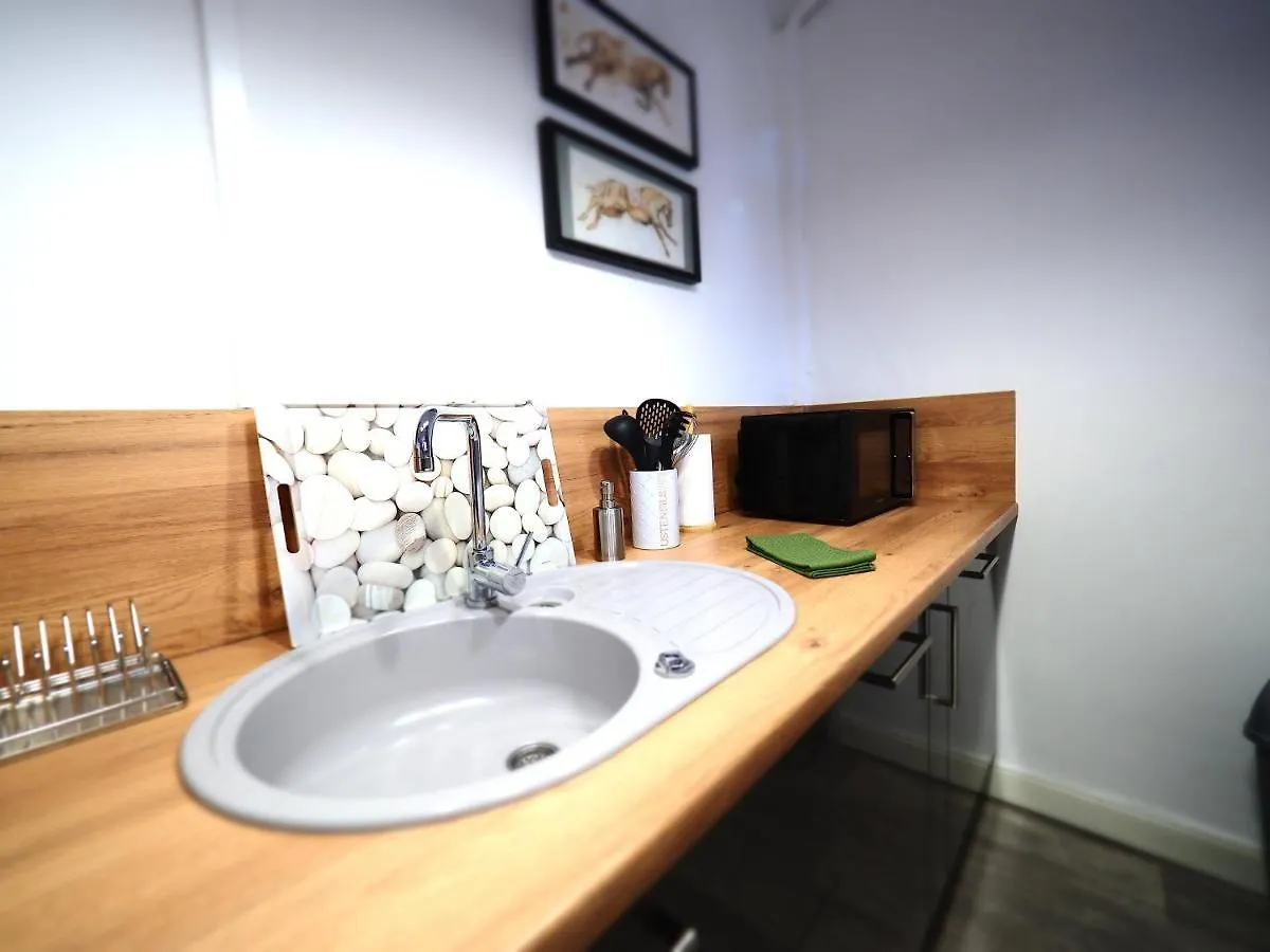 Le Plaisance - Face Au Parc - Duplex - Balcon Apartment Vichy France