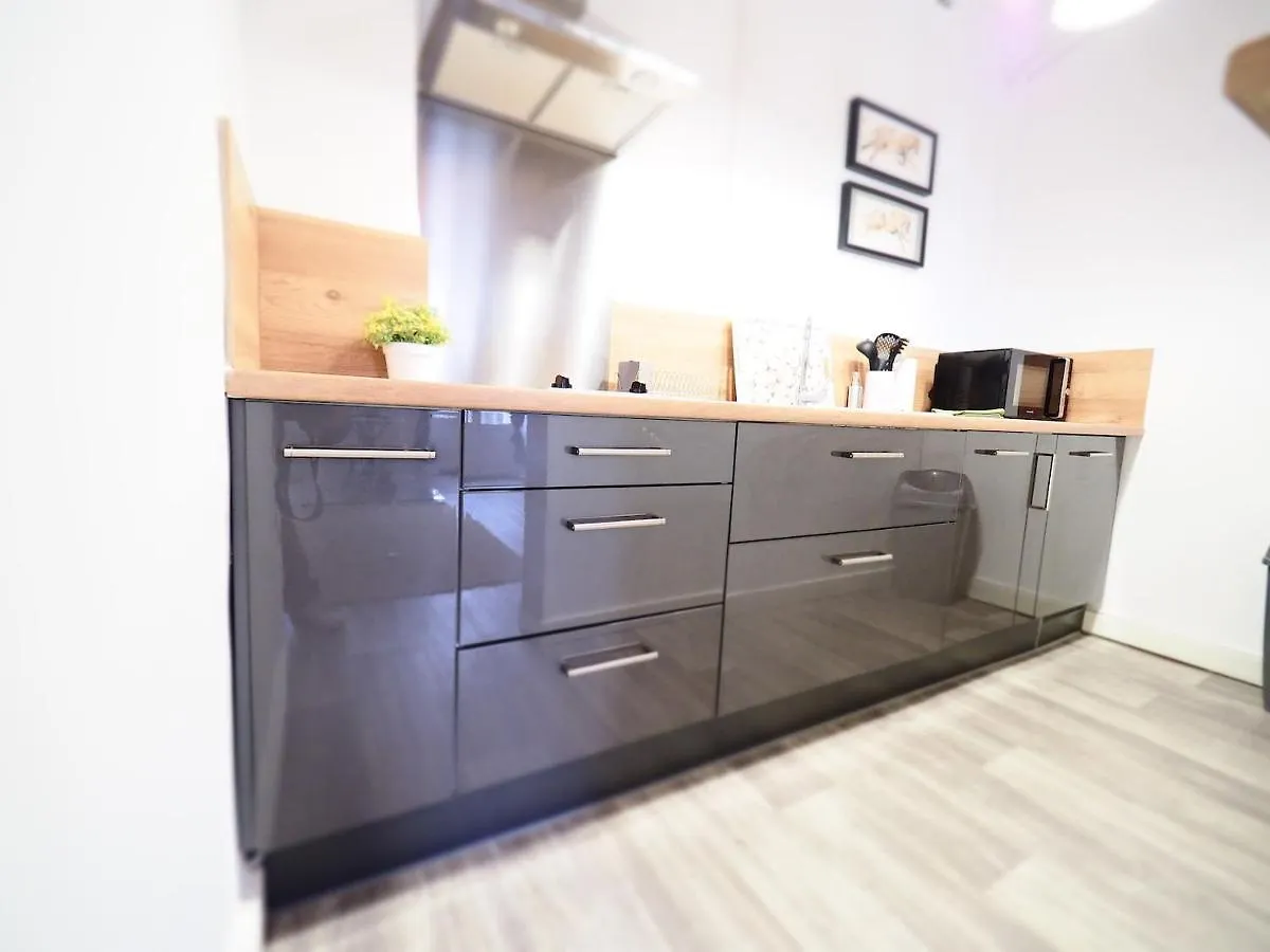 Le Plaisance - Face Au Parc - Duplex - Balcon Apartment Vichy France
